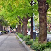 横浜国立大学は偏差値も難易度高い！経済以外センター重視！